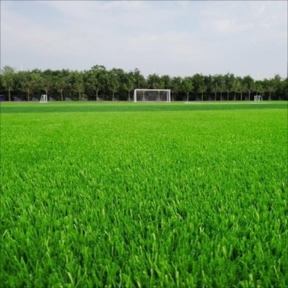 PE Resilient Artificial Grass, F-Y5D11