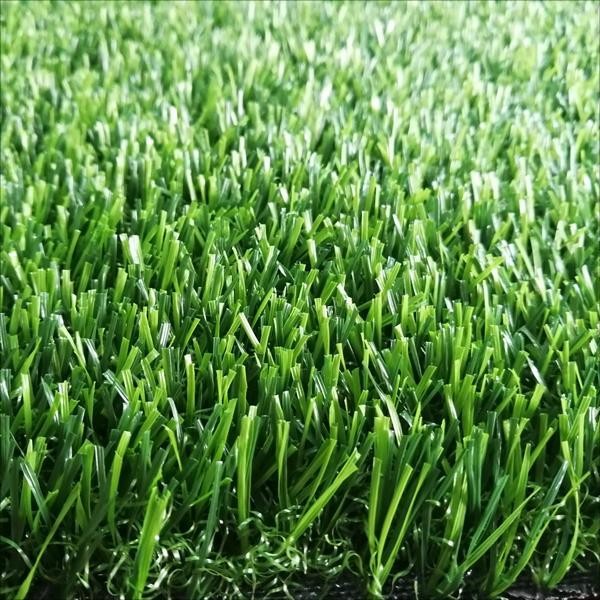 Kindergarten Grass